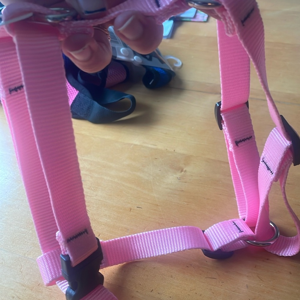 Lupine Roman Harness 3/4in 14-24”